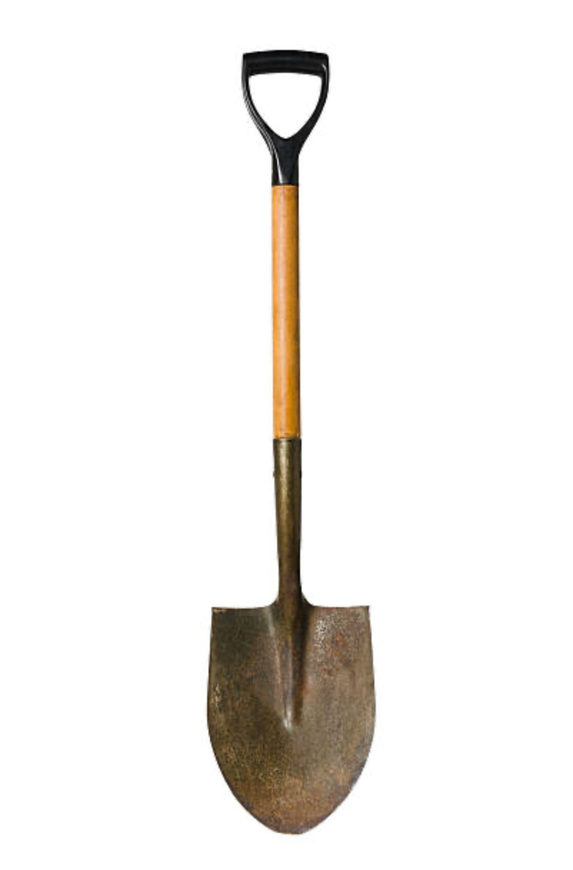 Labor